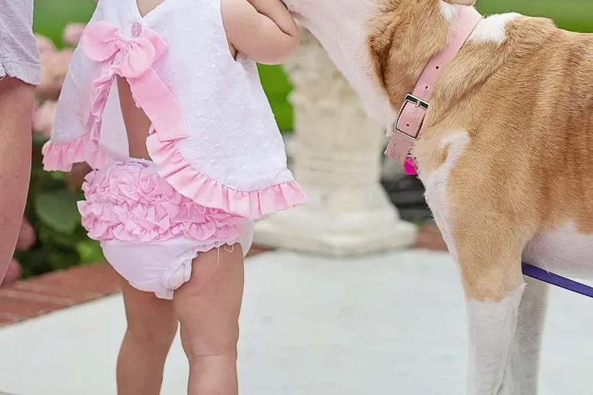 Necessidades Nutricionais de Cães de Raças Grandes: Um Guia Completo